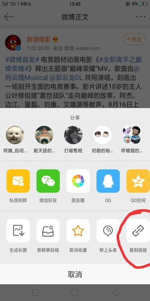 台湾狗崽爆料曲线视频下载,曲线视频下载背后的秘密  第1张